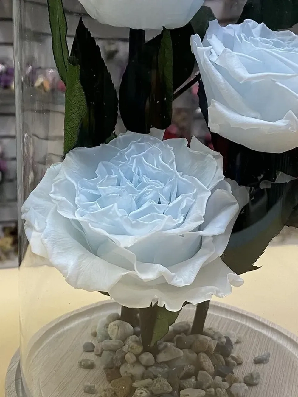 Клош с пионами