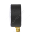 Манометр МП-63 радиальный Дк63мм 0-0,6 МПа кл.2,5 G1/4" ЗАВОД ТЕПЛОТЕХНИЧЕСКИХ ПРИБОРОВ