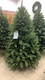 Ель искусственная «Графская» (Литая+пвх) 210 см / 2.1 м