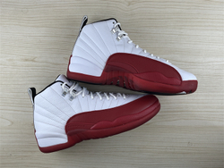 Air Jordan 12 CT8013-116