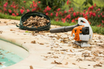 Бензиновая воздуходувка STIHL BG 50, 1.01 л.с.