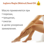 Масло грецкого ореха / Juglans Regia (Walnut ) Seed Oil