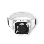 Кольцо Coeur de Lion Black-Silver 1200/40-1317 60 размер 19