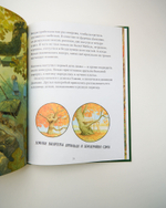 Комплект «Хиты Clever», 2 книги