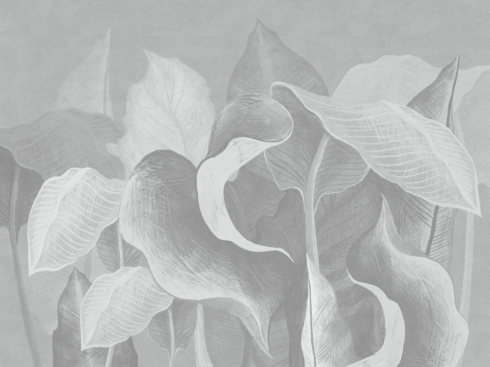 Коллекция SUMMERTIME