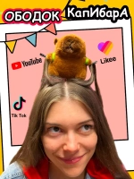 Ободок Капибара с черепашкой с заколками для волос Capibara