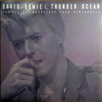 David Bowie / Thunder Ocean (The Serious Moonlight Tour Rehearsals)(Coloured Vinyl)(LP)