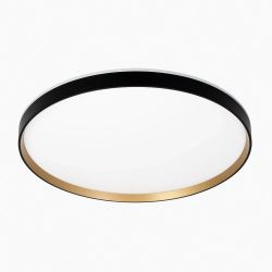 Citilux ETALON CL750501R LED RGB Светильник с пультом Чёрный+Золото