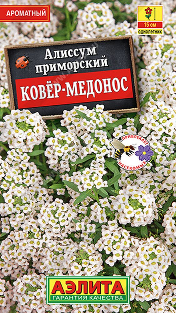 Алиссум &quot;G. Ковер-медонос&quot; 0.1г., Россия.