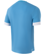 Футболка игровая DIVISION PerFormDRY Union Jersey, голубой/белый/белый