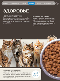 Корм сухой для взрослых стерилизованных кошек породы Мейн-кун, полнорационный комплекс, с индейкой, 400 гр, QUATTRO