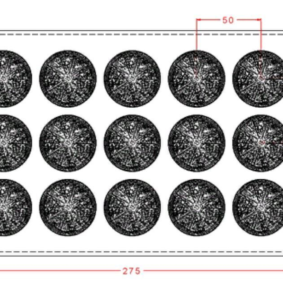 278 | Форма для шоколадных конфет "Цитрус" (275*175 мм)