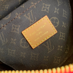 Louis Vuitton Express PM