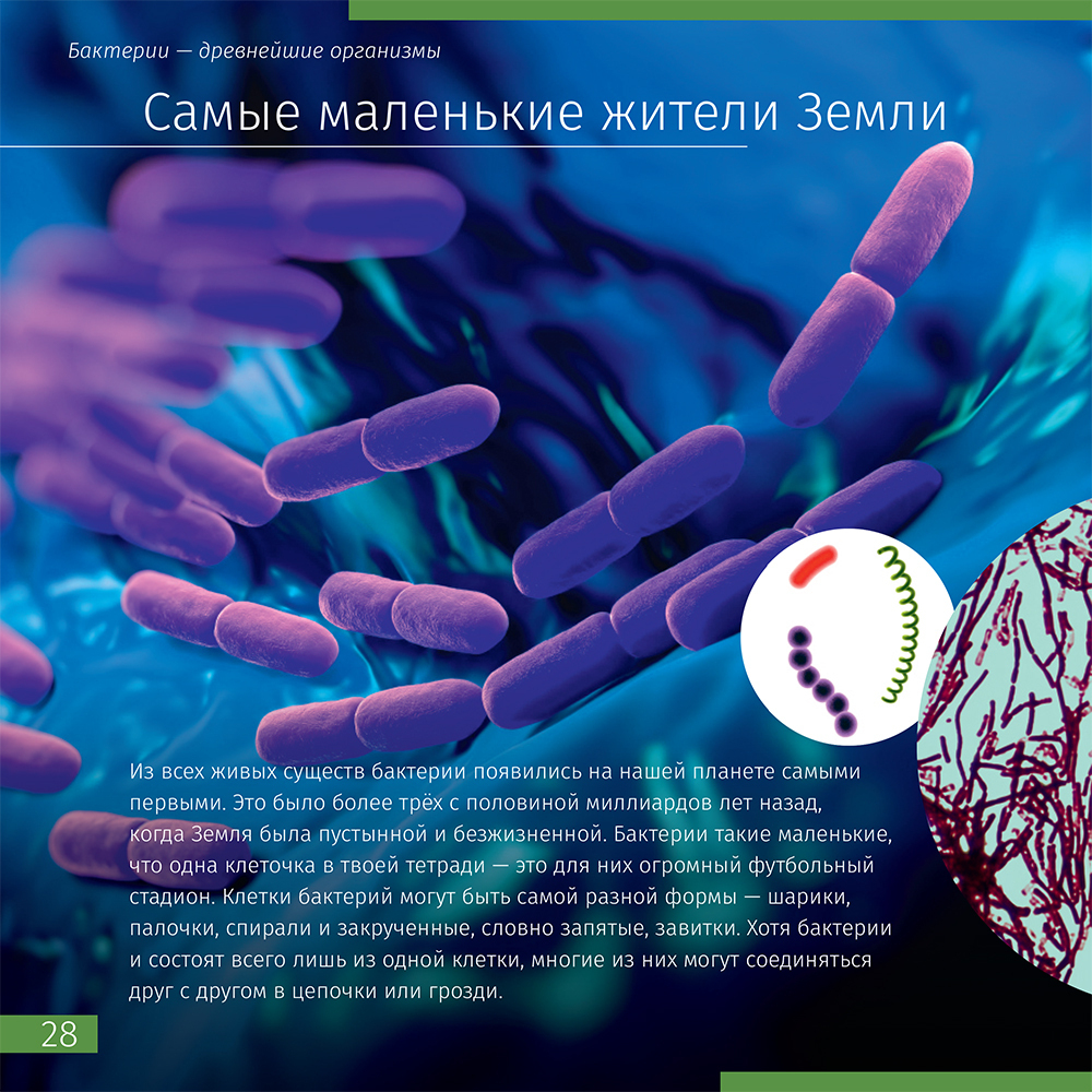 Книга знаний в 2 томах. "Космос. Микромир"
