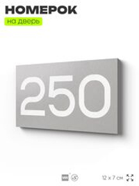 Номер на дверь 250, табличка на дверь для офиса, квартиры, кабинета, аудитории, склада, серая 120х70 мм, Айдентика Технолоджи
