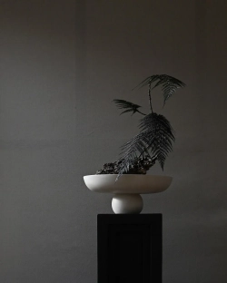 Чаша 101 Copenhagen Baburu Bowl, Big, Birch