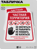 Табличка для частной территории "Частная территория", на дом, для участка, организаций, предупреждающая, 40х30 см, Silver Plane x Айдентика Технолоджи