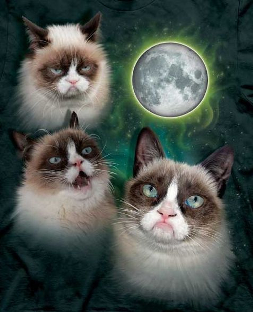 Three Grumpy Cat Moon