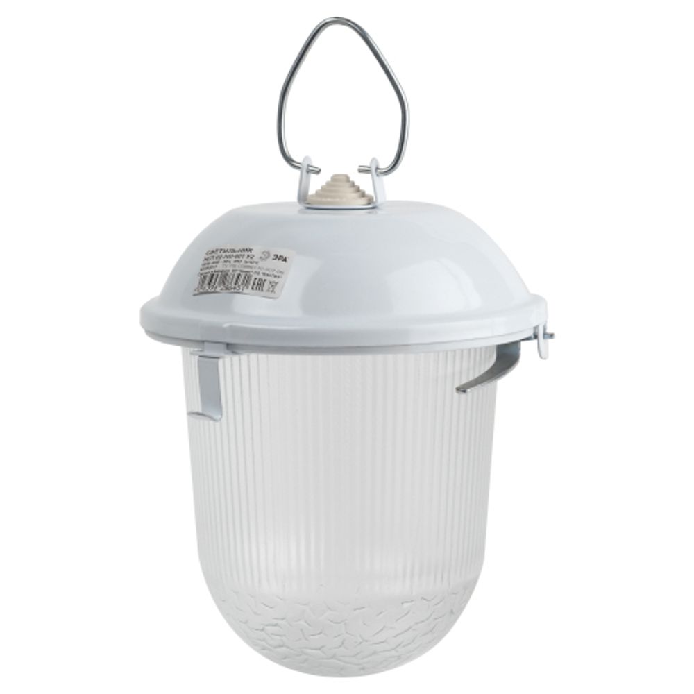 Светильник ЭРА НСП 02-100-001 без решетки Желудь сталь / стекло IP54 E27 max 100Вт 262х172 белый | Светильники НСП (Желуди)