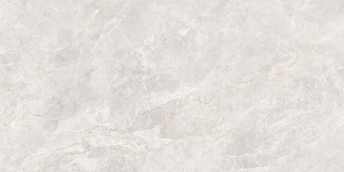 Керамогранит Anatolia Светло-серый 60x120 GT1206019606MDGR