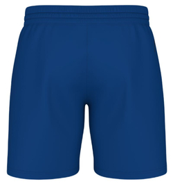 Мужские теннисные шорты Head Play - небесный