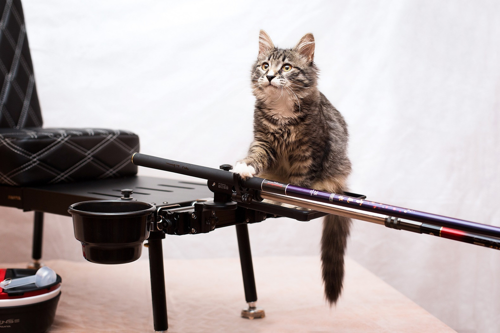 Универсальная чашка