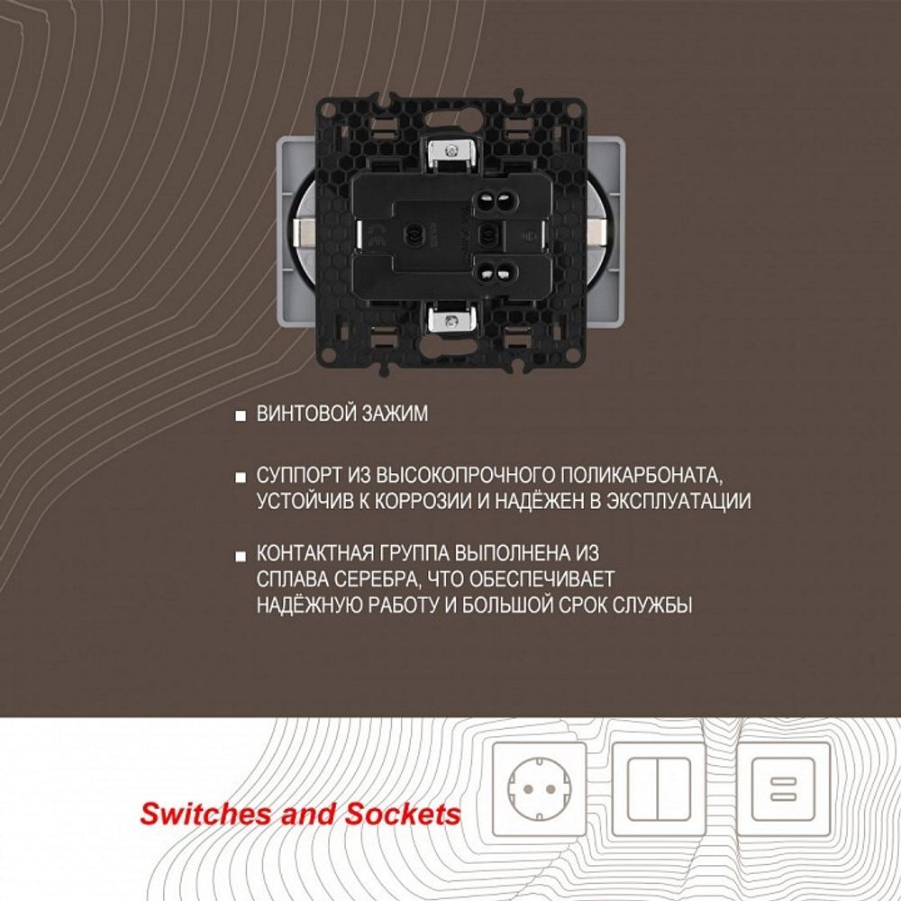 Розетка двойная с заземлением, без рамки Arte Milano am-217 217.40-2.silver