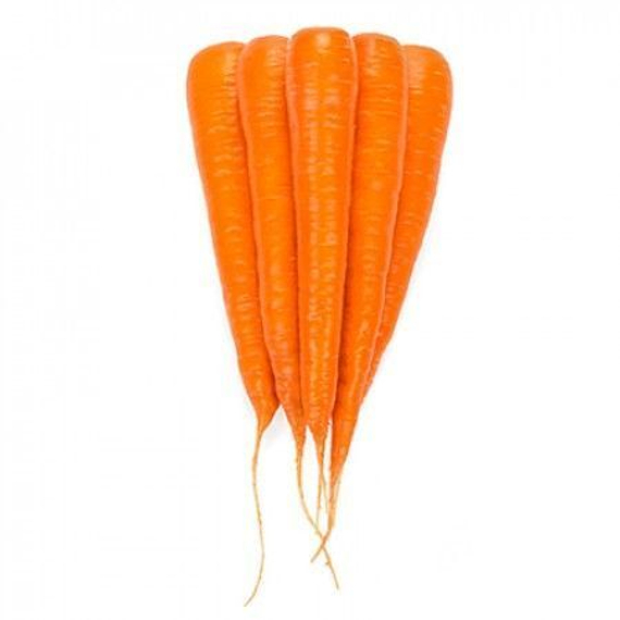 КАРОТАН РЗ семена моркови (Rijk Zwaan | Alexagro) – фото 2