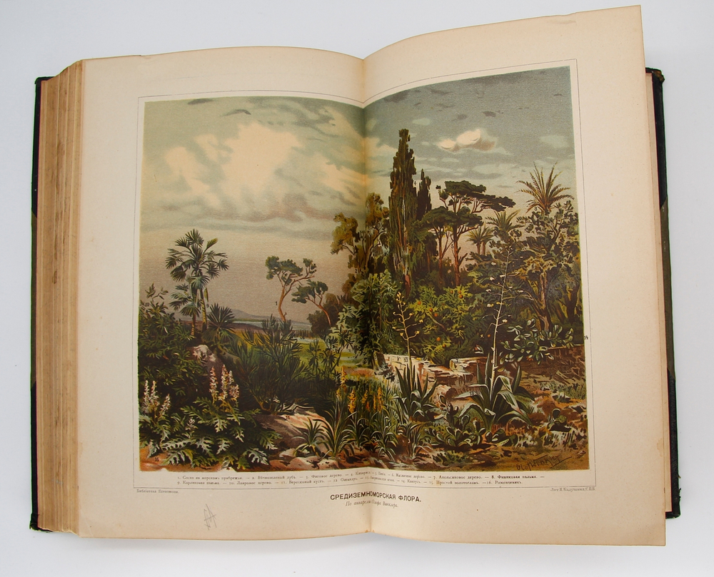 "Земля и жизнь". Ф. Ратцель. 1905г. - антикварная книга