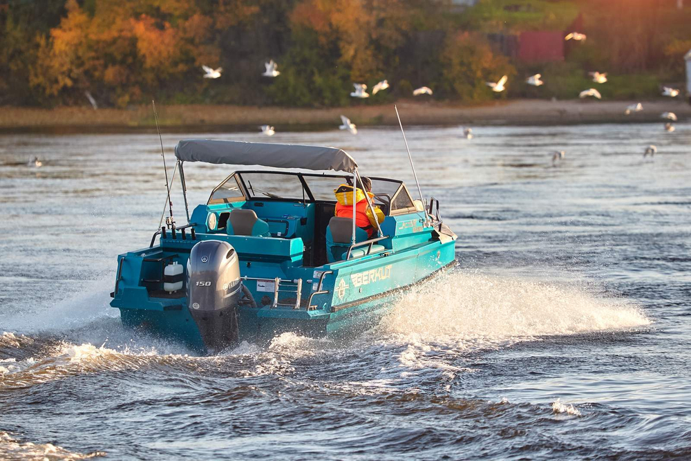 Алюминиевый катер BERKUT Active DC