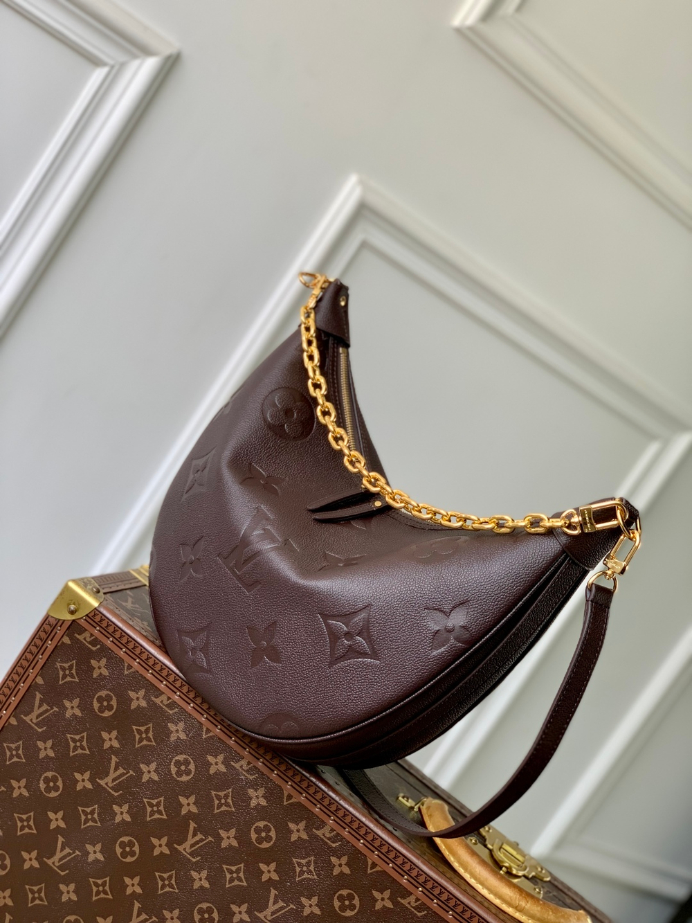 Louis Vuitton Loop Hobo Bag