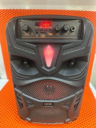 Портативная колонка ndr большая