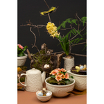 Чайник заварочный birds of paradise, 1 л, кремовый