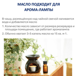 Энергетическое масло / Близнецы 