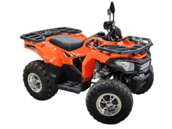 Квадроцикл MOTOLAND ATV 200 MAX