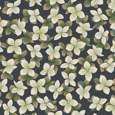 Цветы на темном фоне