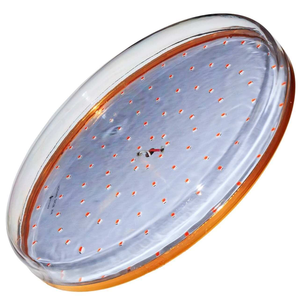 Фитолампа для растений