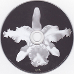 Kings Of Leon / The Collection Box (5CD+DVD)