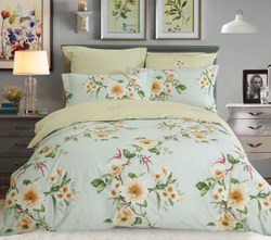 Постельное белье СайлиД B-196 сатин