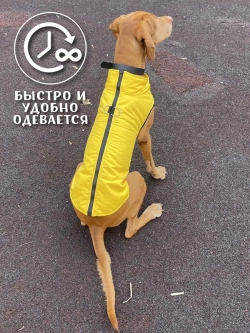 Зимний жилет для собак куртка