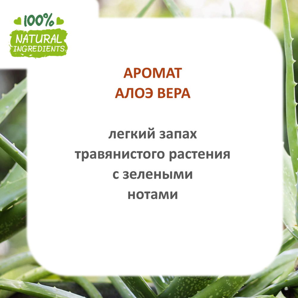 Алоэ вера, отдушка для свечей и мыла