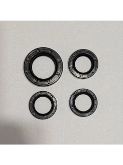Набор сальников 157QMJ 150см3