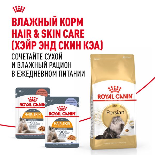 Сухой корм Royal Canin Persian Adult для взрослых персидских кошек от 12 месяцев
