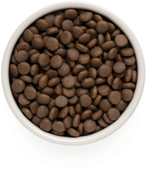 Grandorf Dog adult medium & maxi корм сухой для собак кролик с индейкой