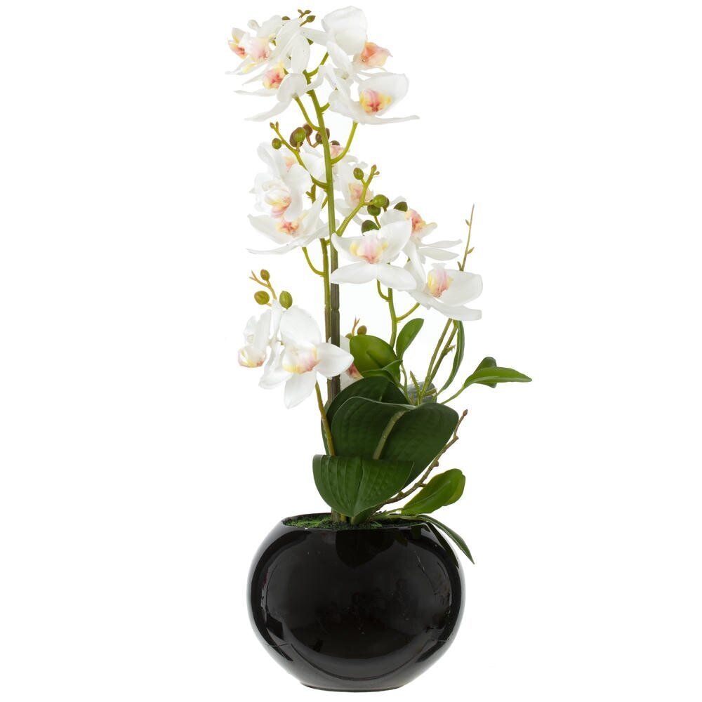 GAEM Цветочная композиция "Орхидея", L22 W22 H47 см