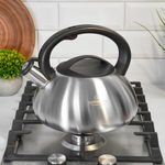 Чайник 3,5л нерж 9975BH