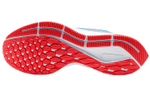Кроссовки Nike Pegasus 36 Jdi