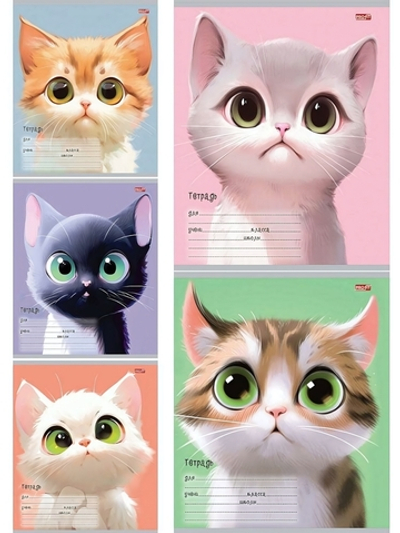 Тетрадь А5 12л. линия "Мультяшный котик!" облистер -цвет. мел. обл. 5 дизайнов (Проф-Пресс)