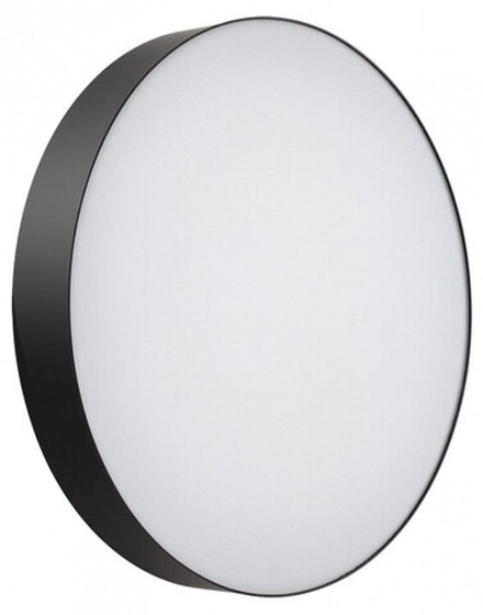 Накладной светильник Sonex BASICA 7780/ELN