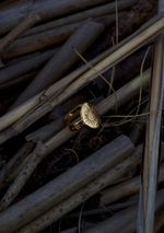 Кольцо Небесный Свет, Солнце